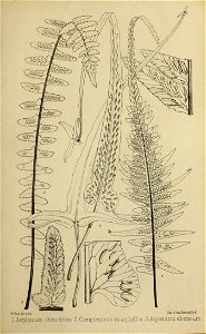 n154_w1150