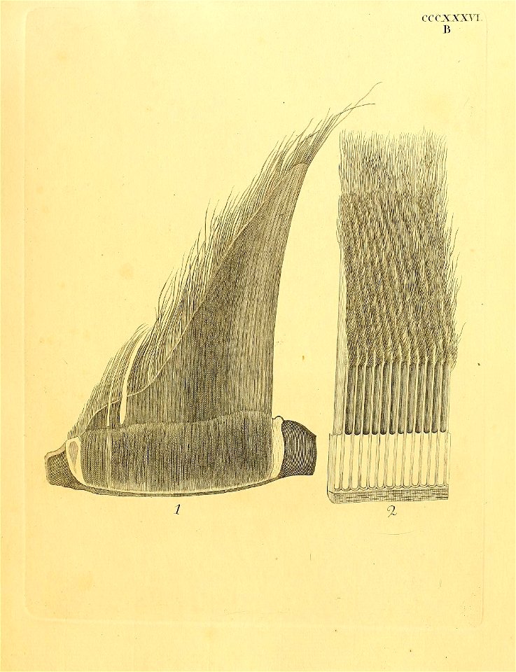 n240_w1150