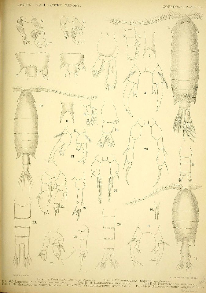 n94_w1150