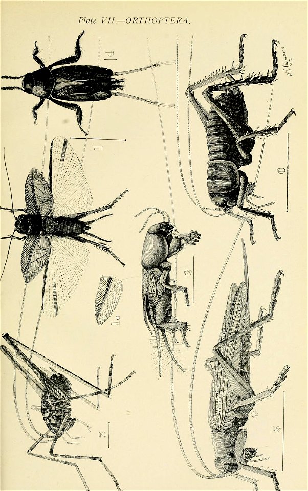 n94_w1150