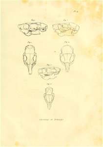 n508_w1150