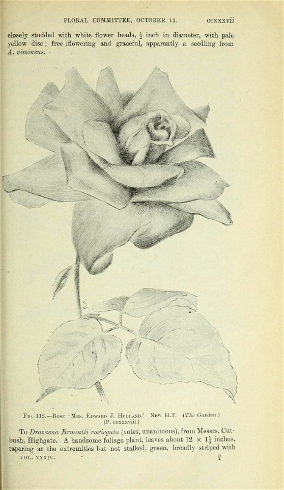 n1100_w1150