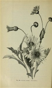 n1189_w1150
