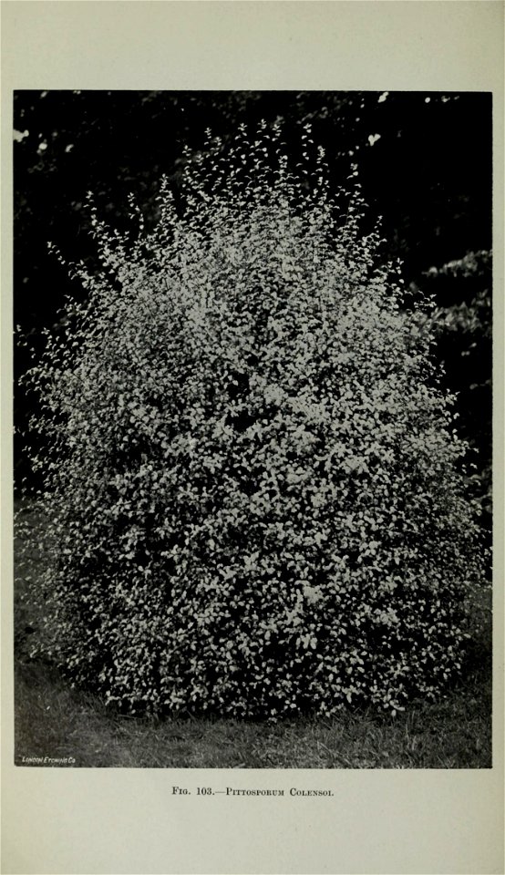n443_w1150