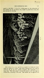 n44_w1150