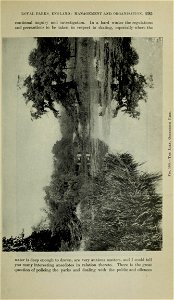 n306_w1150