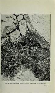 n110_w1150