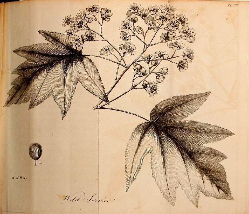 n116_w1150