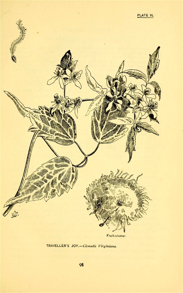 n158_w1150