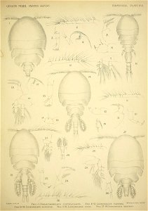 n122_w1150