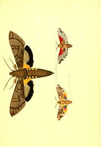 n158_w1150