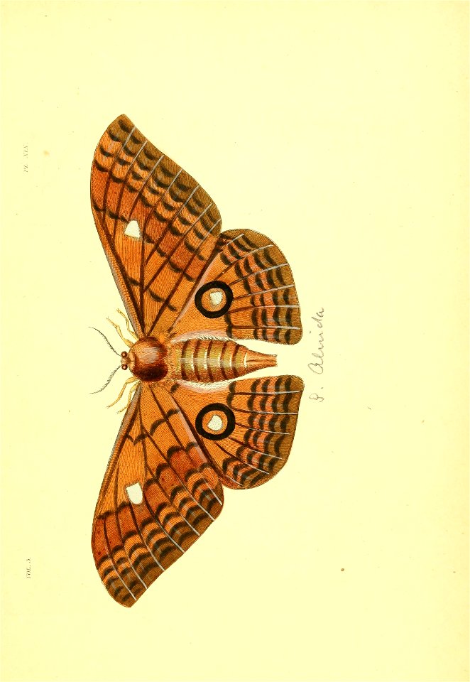 n246_w1150