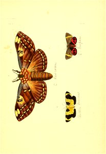 n214_w1150