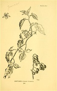n430_w1150