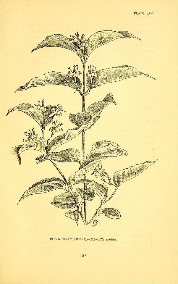 n228_w1150
