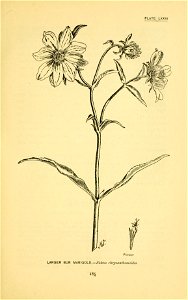 n268_w1150
