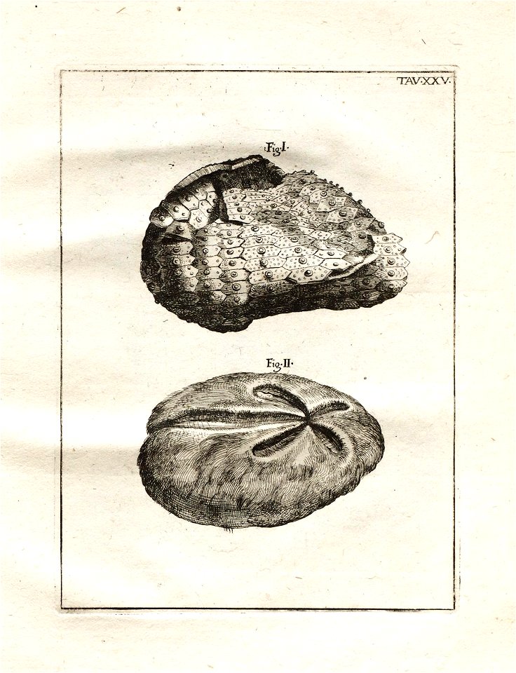 n121_w1150