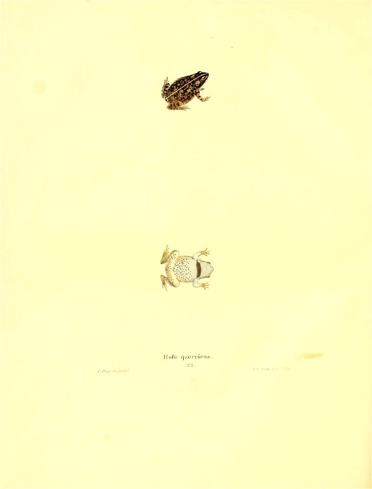 n155_w1150