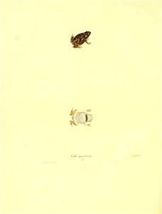 n155_w1150