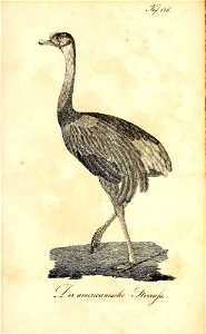 n656_w1150
