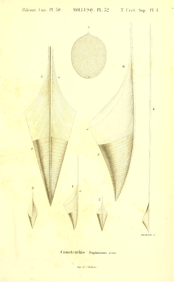 n68_w1150