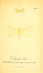n216_w1150