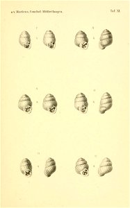 n264_w1150