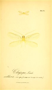 n212_w1150