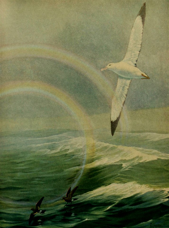 n678_w1150