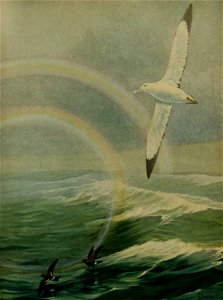 n678_w1150