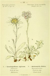 n159_w1150
