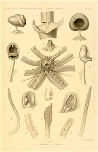 n160_w1150