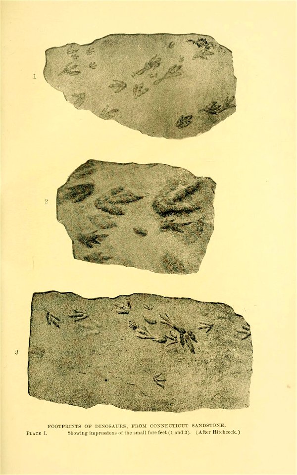 n84_w1150