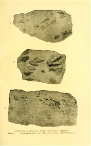 n84_w1150