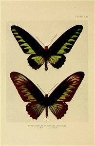 n175_w1150