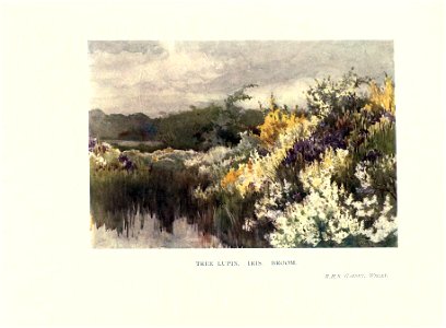 n142_w1150
