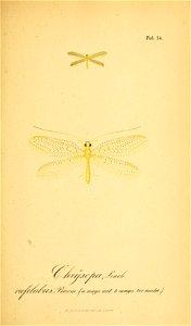 n210_w1150