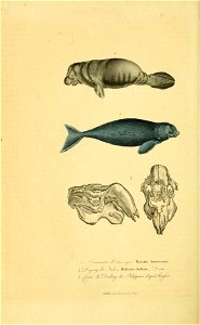 n699_w1150