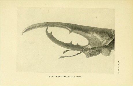 n284_w1150