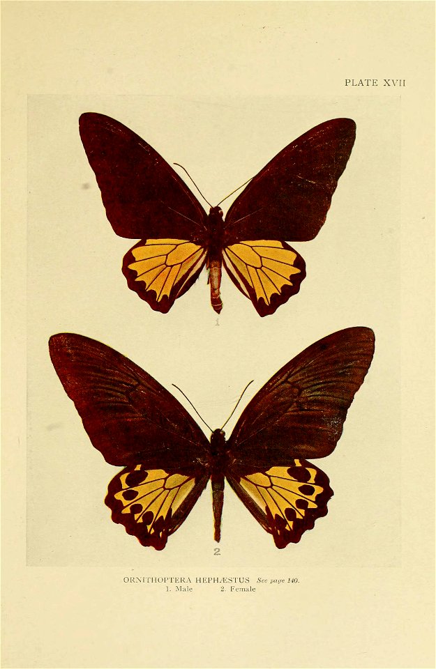 n180_w1150