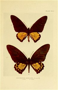n180_w1150
