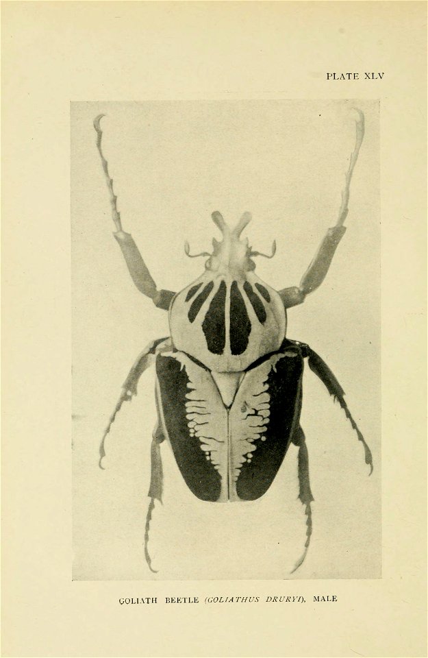 n285_w1150
