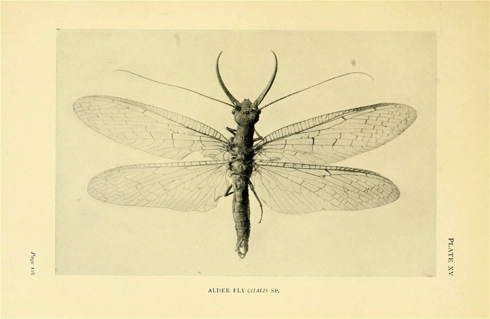 n170_w1150