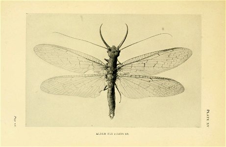 n170_w1150