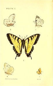 n5_w1150