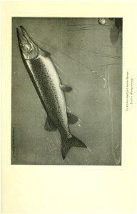 n146_w1150