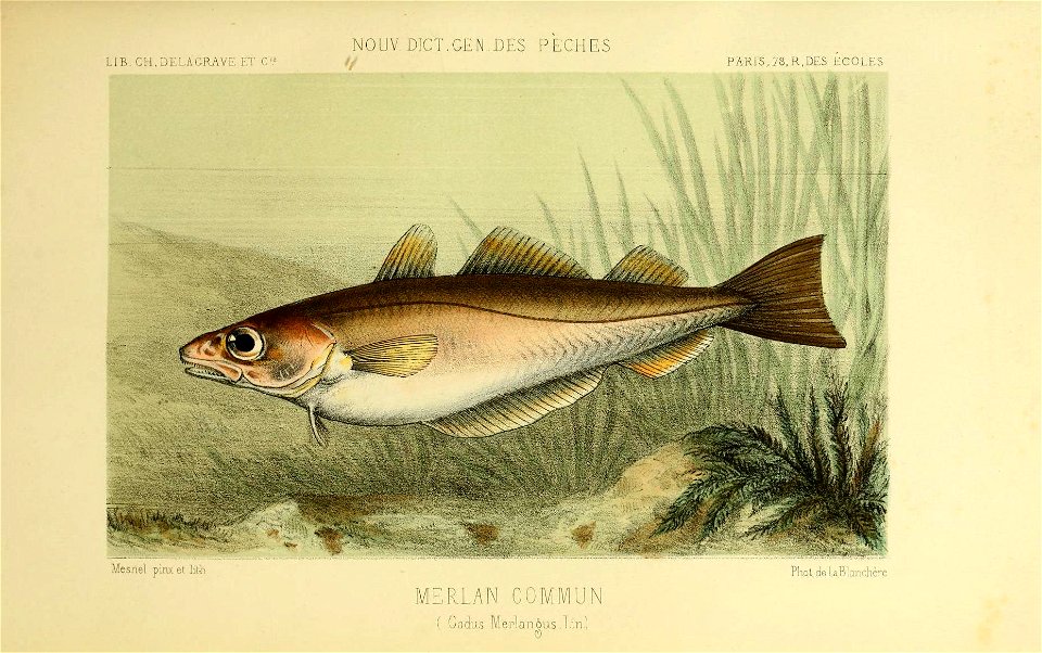 n568_w1150