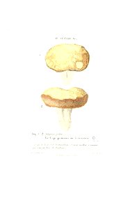 n544_w1150