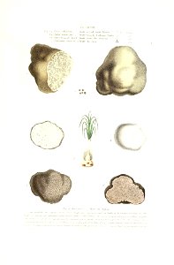 n574_w1150