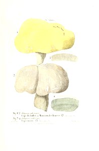 n514_w1150